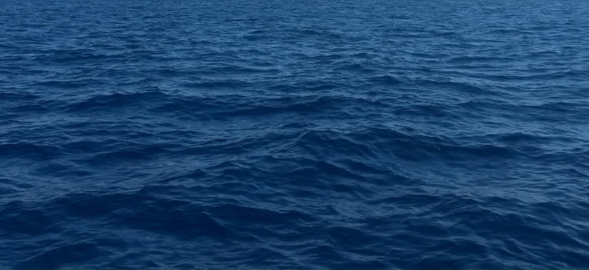 Yelken Eğitimi